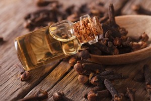 Oil of cloves in the bottle close-up on the table. horizontal, rustic style